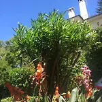 بيت للعطل Lei