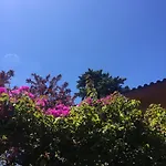 Lei Semesterbostad Cascais
