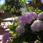 Lei كاسكايس