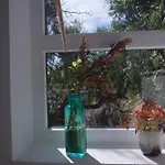 Lei كاسكايس