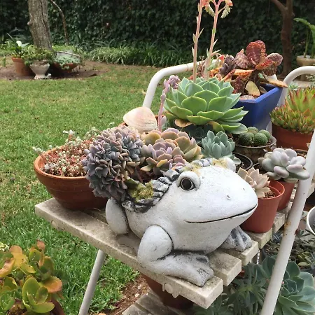 Lei * Κασκαΐς