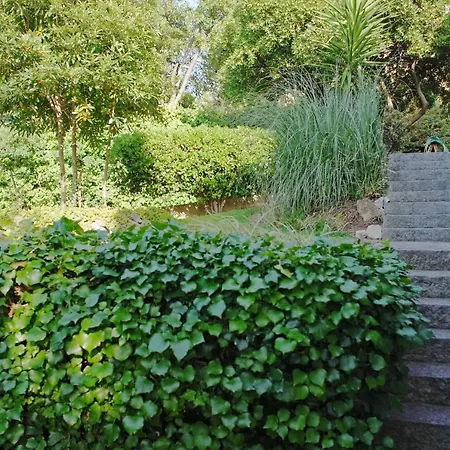Lei Vakantiehuis *