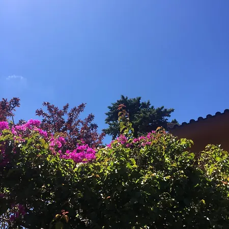 Lei Feriehus Cascais