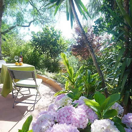 Lei Сasa de vacaciones