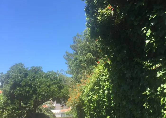 Dom wakacyjny Lei Віавіа