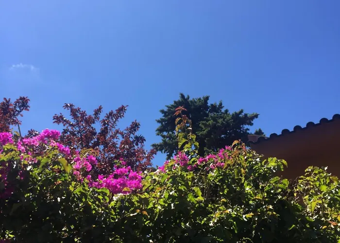 Lei Dom wakacyjny Віавіа