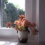 Lei *