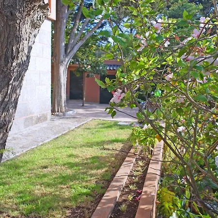 奥采德民宿 度假居 *