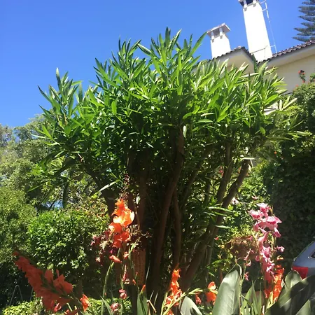 度假居 奥采德民宿